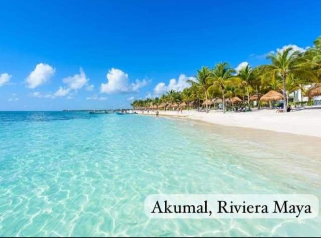 El Ultimo Maya Akumal Exteriör bild